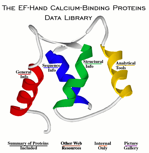 EF-hand calcium-binding proteins data 
library imagemap